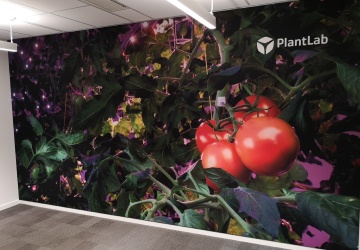 Slimframe Plantlab